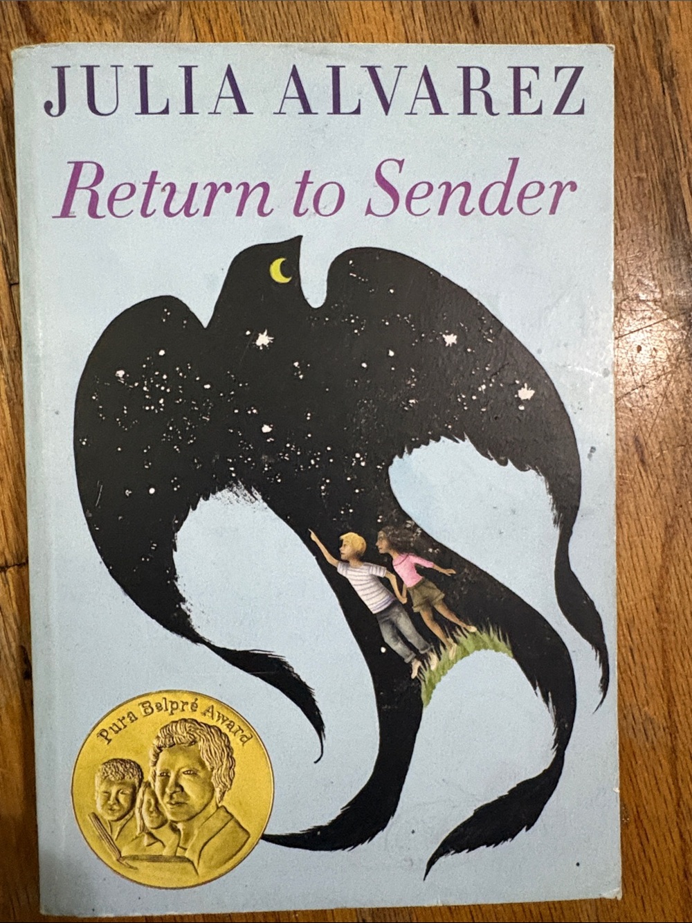 Return to Sender by Julia Alvarez — Light Blue Cover